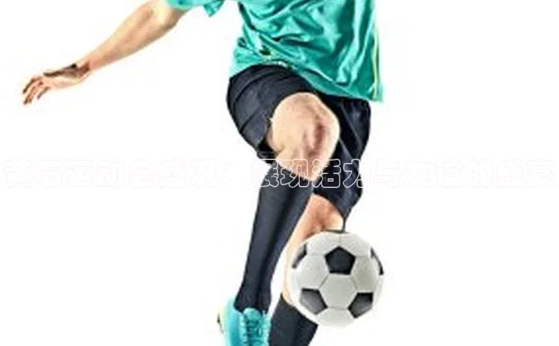 黄石运动会盛况：展现活力与友谊的盛宴