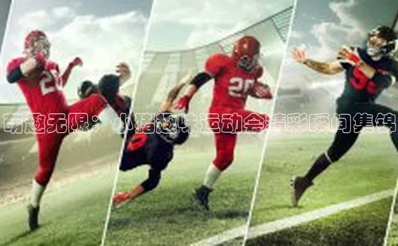 萌趣无限：小猪趣味运动会精彩瞬间集锦