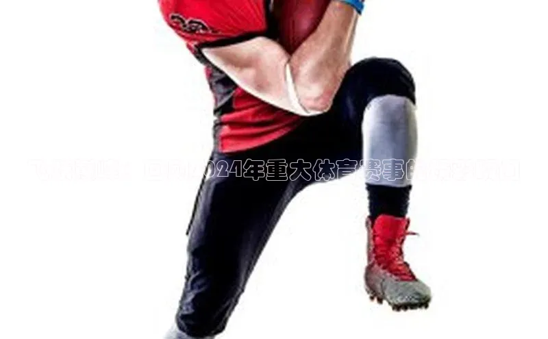 飞跃巅峰：回顾2024年重大体育赛事的精彩瞬间