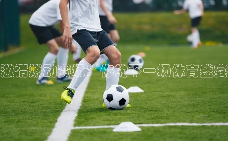 激情燃动赛场：你的下一场体育盛宴