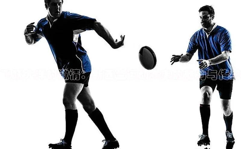 飞跃大洋的激情：新西兰运动赛事的魅力与传统