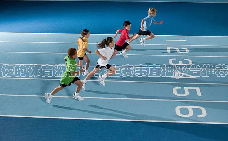 你的体育激情：线上赛事直播平台推荐