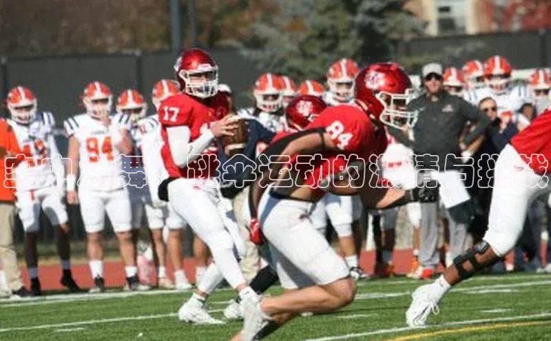 空中之舞：跳伞运动的激情与挑战