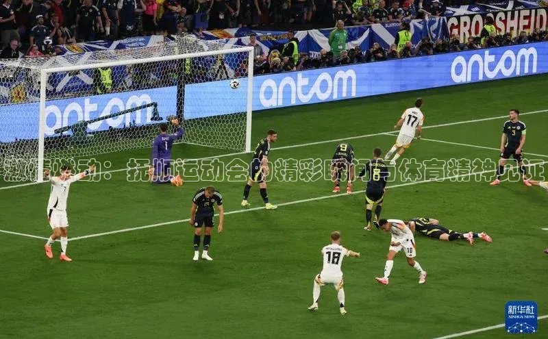 激情燃动：抚顺运动会的精彩瞬间与体育精神见证