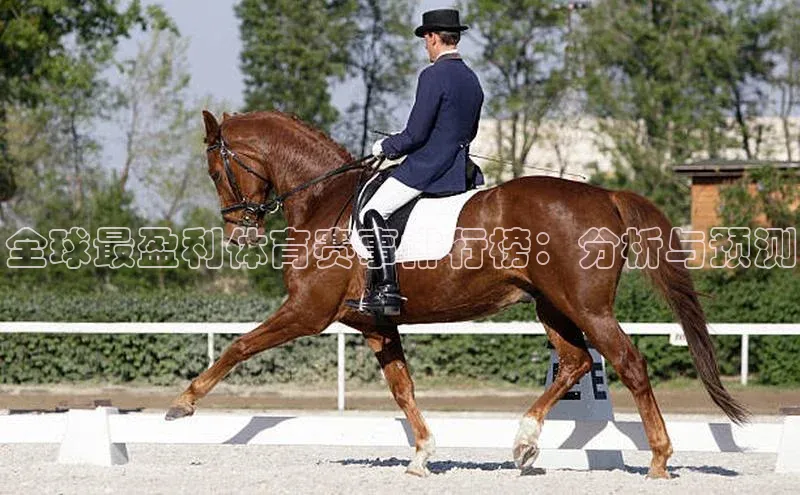 恒行6平台注册账号入口